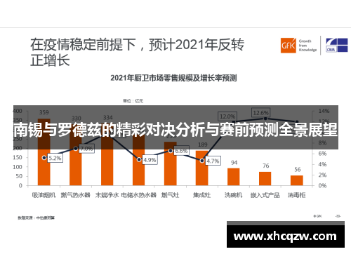 南锡与罗德兹的精彩对决分析与赛前预测全景展望